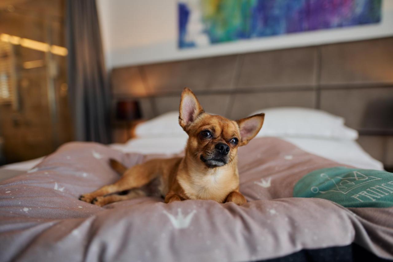 Paris Hotel 4*